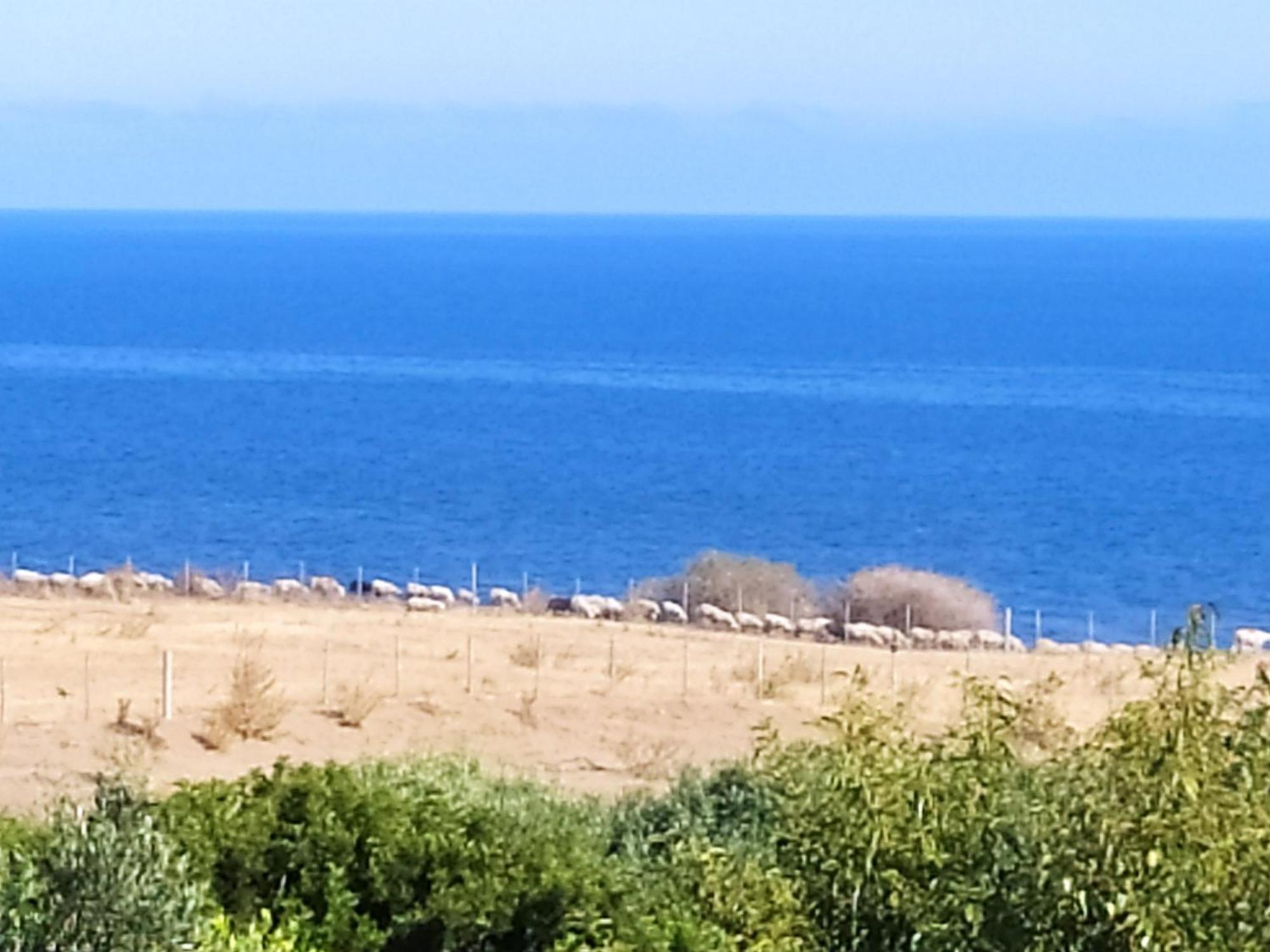 Blulatte Διαμέρισμα Valledoria  Εξωτερικό φωτογραφία